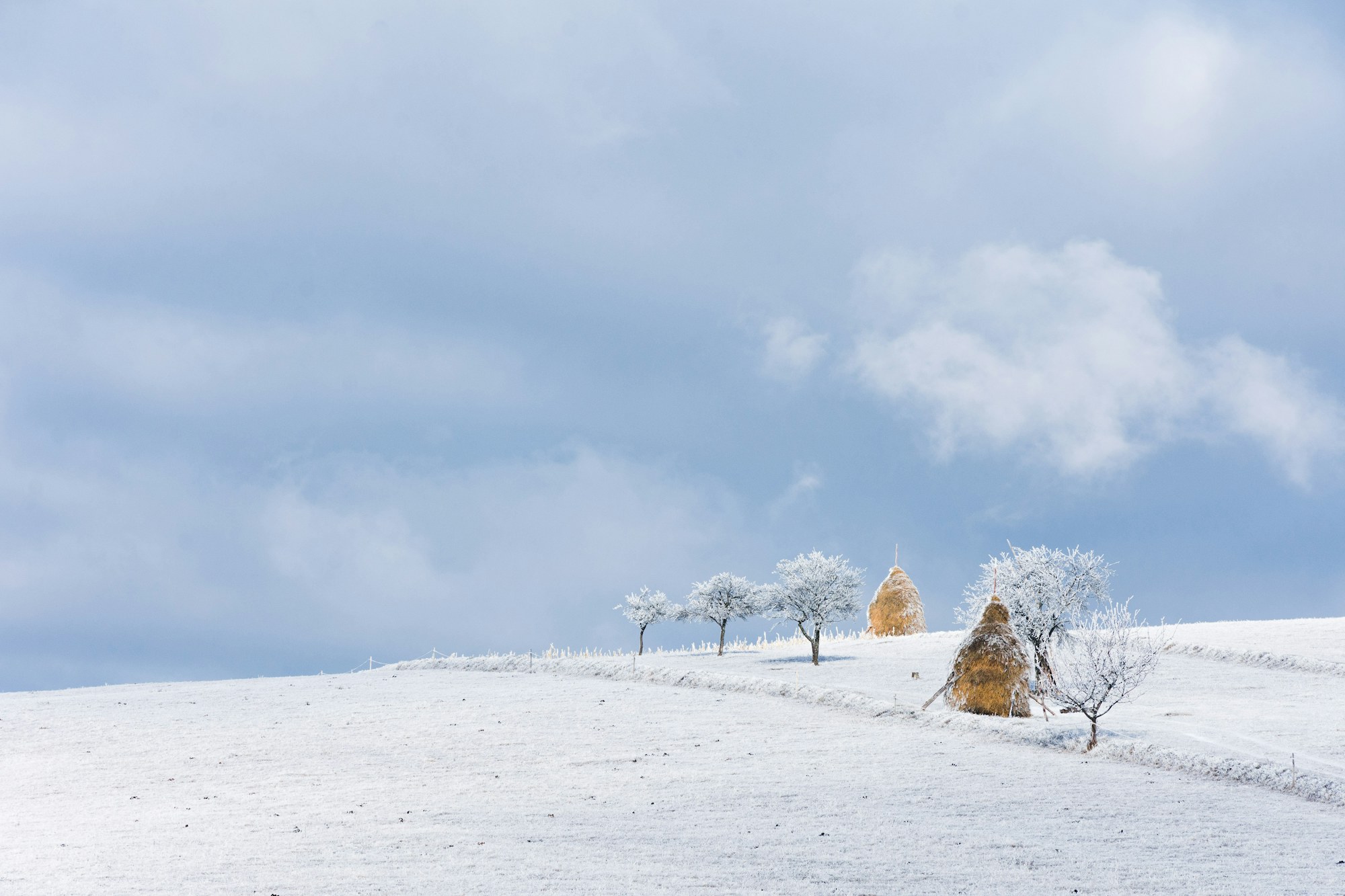 A snow-covered field in rural Canada with two haystacks on the ridge.